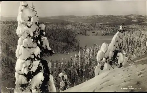 Ak Norwegen, Winterlandschaft