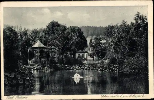 Ak Duszniki Zdrój Bad Reinerz Schlesien, Schwanenteich im Holteipark