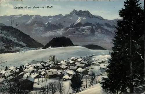 Ak Leysin Kanton Waadt, Panorama et la Dent du Midi, Winter