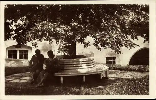 Ak Hohnstein in der Sächsischen Schweiz, Jugendburg, Oberer Burghof, Bank um die Burglinde