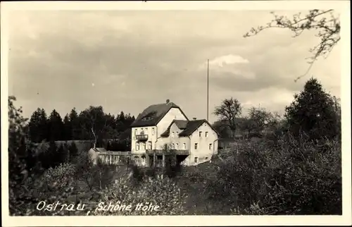 Foto Ak Ostrau Bad Schandau Sächsische Schweiz, Schöne Höhe