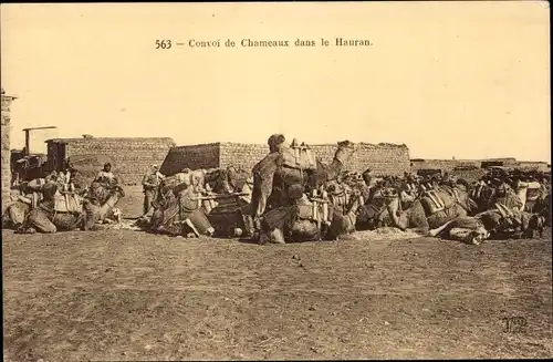 Ak Syrien, Convoi de Chameaux dans le Hauran