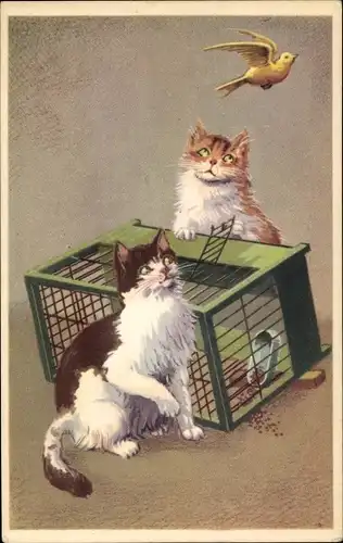 Ak Zwei Katzen beobachten einen entflogenen Vogel, Vogelkäfig