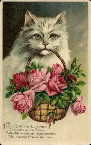 Präge Litho Weiße Katze mit Blumenkorb, Rosen