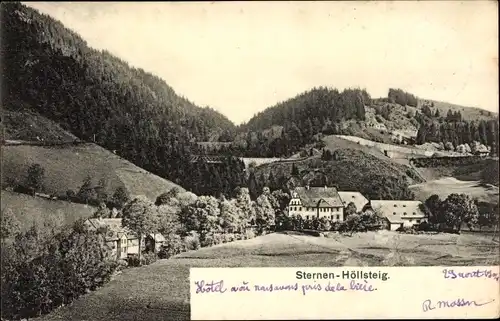Ak Breitnau im Schwarzwald, Höllsteig, Hofgut Sternen
