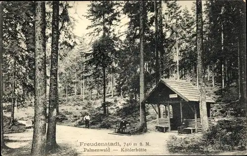Ak Freudenstadt im Schwarzwald, Palmenwald, Köhlerhütte