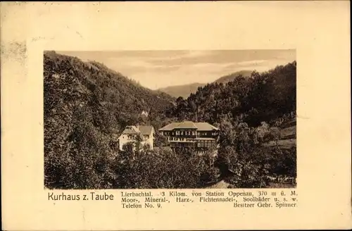 Ak Lierbach Oppenau im Schwarzwald, Kurhaus z. Taube, Panorama