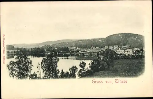 Relief Ak Titisee Neustadt im Breisgau Hochschwarzwald, Panorama