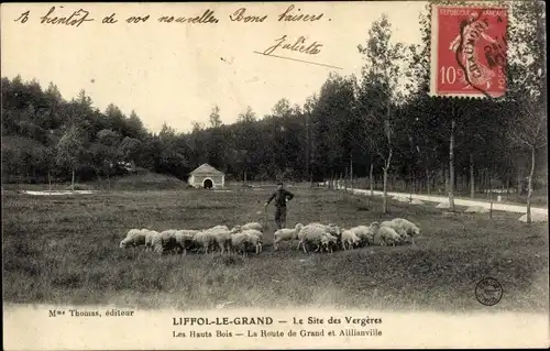 Ak Liffol le Grand Lothringen Vosges, Le Site des Vergeres