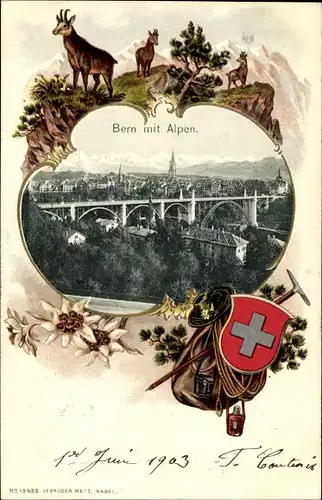 Präge Wappen Passepartout Ak Bern Stadt Schweiz, Panorama, Alpen, Brücke