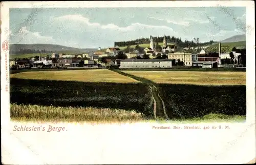 Ak Mieroszów Friedland Bezirk Breslau Niederschlesien, Gesamtansicht