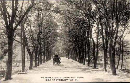 Ak Dalian Dairen China, The Acacia Avenue in Central Park