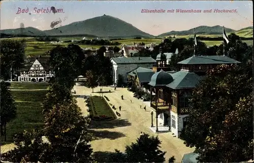 Ak Szczawno Zdrój Bad Salzbrunn Schlesien, Elisenhalle mit Wiesenhaus, Hochwald