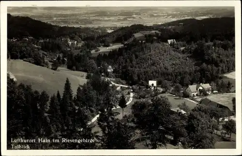 Ak Przesieka Hain Podgórzyn Giersdorf Riesengebirge Schlesien, Talblick