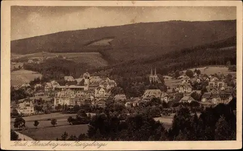 Ak Świeradów Zdrój Bad Flinsberg Schlesien, Panorama vom Ort