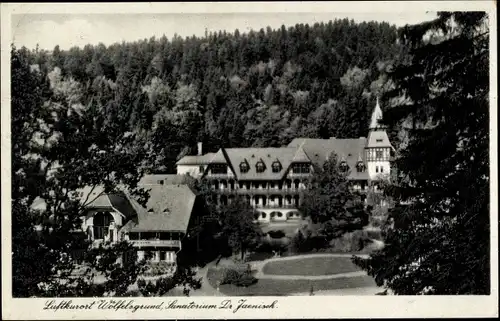 Ak Międzygórze Wölfelsgrund Schlesien, Sanatorium Dr. Jaenisch