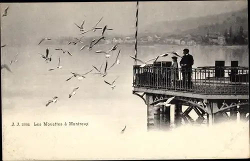 Ak Montreux Kanton Waadt Schweiz, Les Mouettes