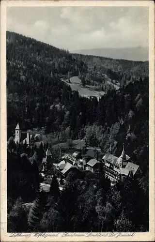 Ak Międzygórze Wölfelsgrund Schlesien, Sanatorium