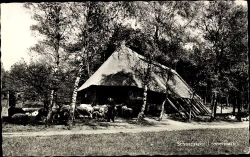 Ak Loenermark Gelderland, Schaapskooi