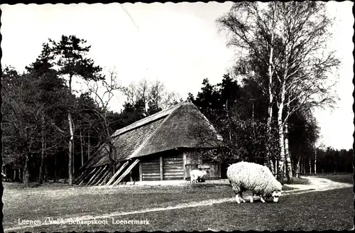 Ak Loenen Gelderland, Schaapskool Loenermark