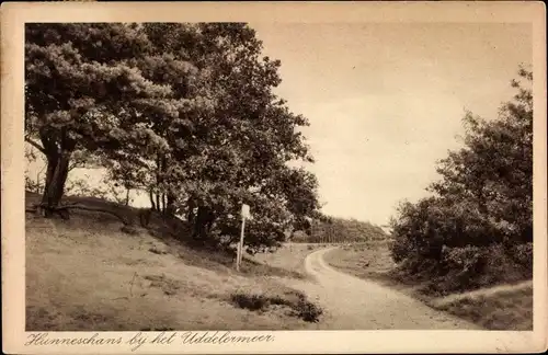 Ak Uddel Gelderland Niederlande, Hunneschans bij het Uddelermeer