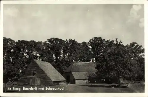 Ak De Steeg Rheden Gelderland, Boerderij met Schaapskooi
