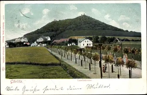 Ak Görlitz in der Lausitz, Landeskrone