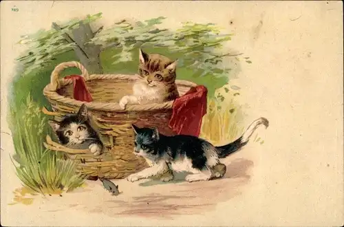 Litho Drei junge Katzen in einem Korb, Maus