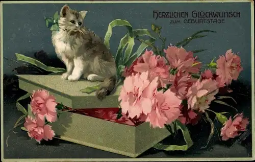 Präge Litho Glückwunsch Geburtstag, Katze auf einer Schachtel, Nelken