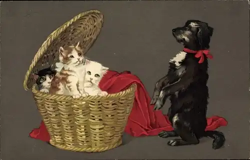 Ak Drei Katzen in einem Korb, Ein Hund macht vor ihnen Männchen