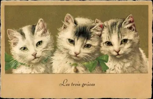 Litho Drei junge Katzen, grüne Schleifen