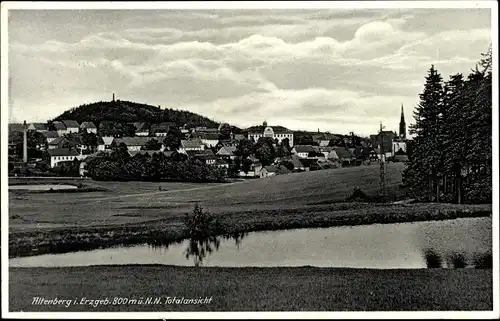 Ak Altenberg im Erzgebirge, Totalansicht