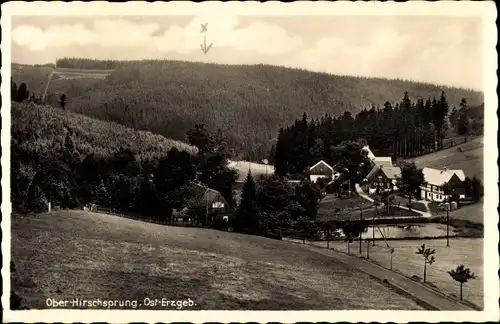 Ak Oberhirschsprung Hirschsprung Altenberg Erzgebirge, Panorama