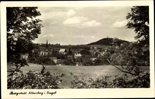 Ak Altenberg im Erzgebirge, Panorama vom Ort