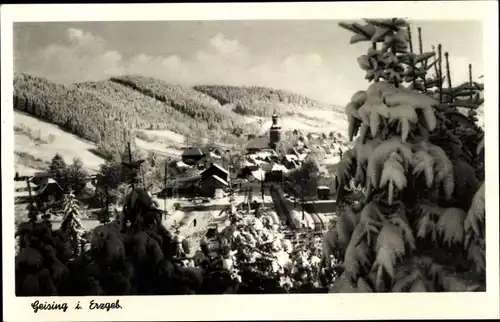 Ak Geising Altenberg im Erzgebirge, Winter, Panorama