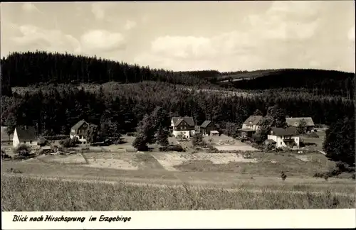 Ak Hirschsprung Altenberg Erzgebirge, Panorama vom Ort