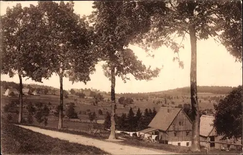 Ak Schellerhau Altenberg im Erzgebirge, Teilansicht