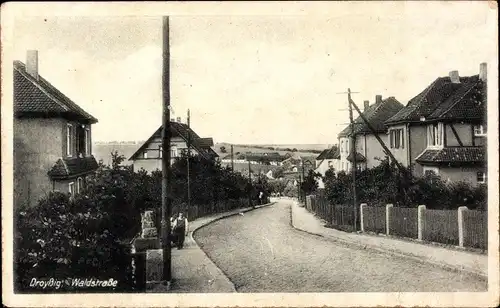 Ak Droyßig im Burgenlandkreis, Waldstraße