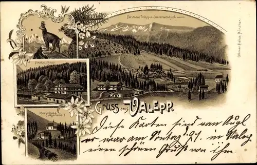 Litho Valepp Schliersee in Oberbayern, Forsthaus, Klausenhaus, Panorama