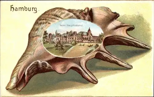Muschel Litho Hamburg Mitte Sankt Georg, Neuer Hauptbahnhof