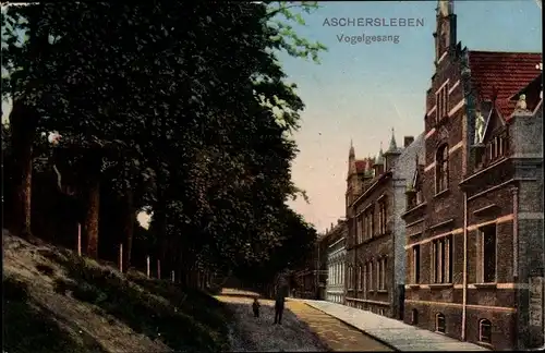 Ak Aschersleben im Salzlandkreis, Vogelsgesang, Straßenpartie