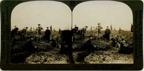 Stereofoto Britische Royal Engineers beim Bau von Gräben der zweiten Linie, I WK