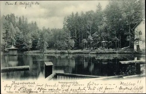 Ak Liegau Augustusbad Radeberg in Sachsen, Schwanenteich