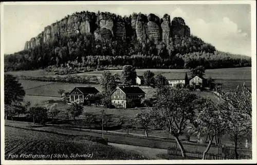 Ak Königstein an der Elbe Sächsische Schweiz, Pfaffenstein, Fels