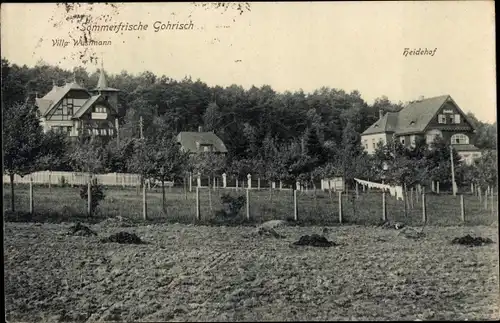 Ak Gohrisch Sächsische Schweiz, Villa Wustmann, Heidehof