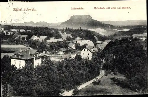 Ak Gohrisch Sächsische Schweiz, Panorama mit Lilienstein