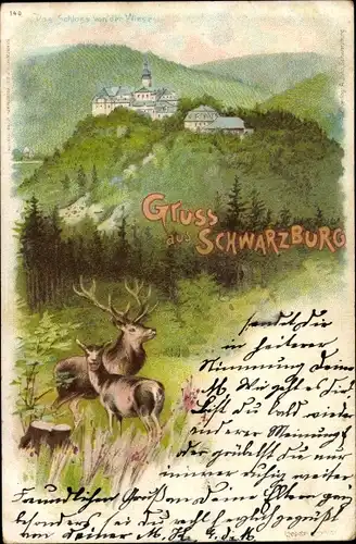 Litho Schwarzburg in Thüringen, Panorama, Hirsche