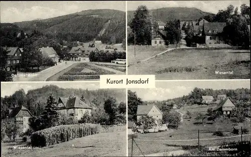 Ak Jonsdorf in Sachsen, Dammschenke, Wiesental, Am Dammborn