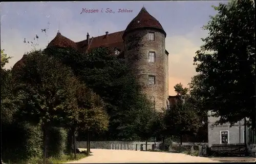 Ak Nossen in Sachsen, Schloss