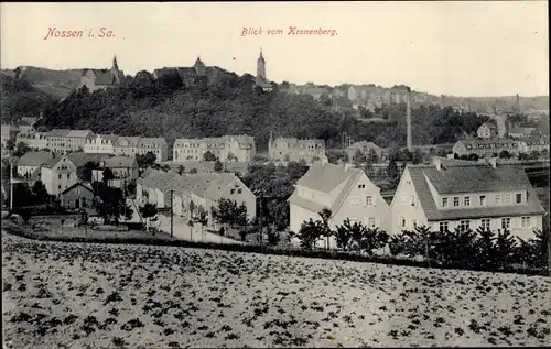 Ak Nossen Landkreis Meißen, Blick vom Kronenberg, Wohnhäuser